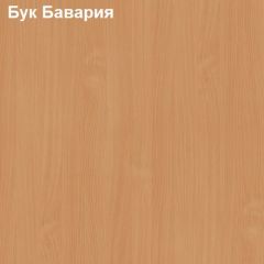 Антресоль для узкого шкафа Логика Л-14.2 в Шадринске - shadrinsk.mebel24.online | фото 2