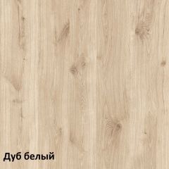 Эйп Шкаф для одежды 13.334 в Шадринске - shadrinsk.mebel24.online | фото 5