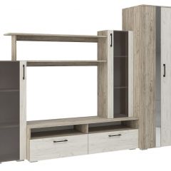 Гостиная Эмма (Дуб Крафт серый/белый) в Шадринске - shadrinsk.mebel24.online | фото 2