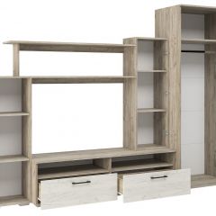 Гостиная Эмма (Дуб Крафт серый/белый) в Шадринске - shadrinsk.mebel24.online | фото 3