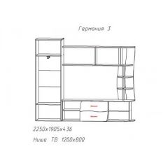 Гостиная ГАРМОНИЯ-3 (ЦРК.ГРМ.03) в Шадринске - shadrinsk.mebel24.online | фото 2