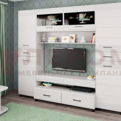 Гостиная Камелия Композиция 10 (Снежный ясень) в Шадринске - shadrinsk.mebel24.online | фото