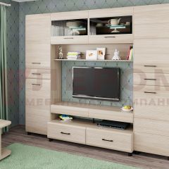 Гостиная Камелия Композиция 10 (Ясень Асахи) в Шадринске - shadrinsk.mebel24.online | фото
