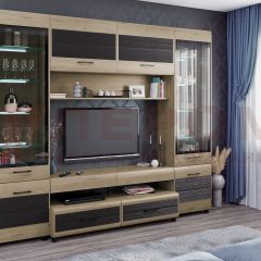 Гостиная Камелия Композиция 11 (Гикори Джексон светлый комбинированный) в Шадринске - shadrinsk.mebel24.online | фото