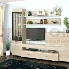 Гостиная Камелия Композиция 5 (Ясень Асахи) в Шадринске - shadrinsk.mebel24.online | фото