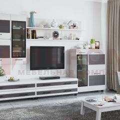 Гостиная Камелия Композиция 6 (Снежный ясень - серый) в Шадринске - shadrinsk.mebel24.online | фото