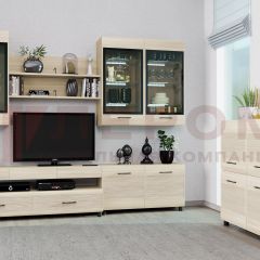 Гостиная Камелия Композиция 8 (Ясень Асахи) в Шадринске - shadrinsk.mebel24.online | фото