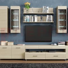 Гостиная Камелия Композиция 9 (Ясень Асахи) в Шадринске - shadrinsk.mebel24.online | фото