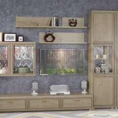 Гостиная Карина Композиция 1 (Гикори Джексон светлый) в Шадринске - shadrinsk.mebel24.online | фото