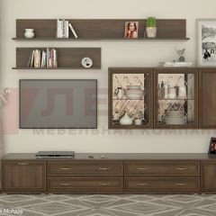 Гостиная Карина Композиция 10 (Акация Молдау) в Шадринске - shadrinsk.mebel24.online | фото