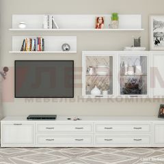 Гостиная Карина Композиция 10 (Снежный ясень) в Шадринске - shadrinsk.mebel24.online | фото