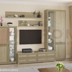 Гостиная Карина Композиция 12 (Гикори Джексон светлый) в Шадринске - shadrinsk.mebel24.online | фото