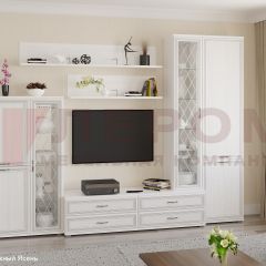 Гостиная Карина Композиция 12 (Снежный ясень) в Шадринске - shadrinsk.mebel24.online | фото