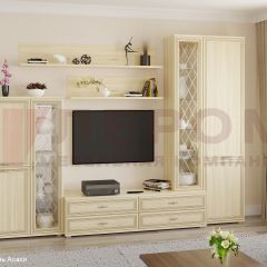 Гостиная Карина Композиция 12 (Ясень Асахи) в Шадринске - shadrinsk.mebel24.online | фото