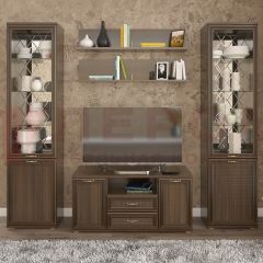 Гостиная Карина Композиция 13 (Акация Молдау) в Шадринске - shadrinsk.mebel24.online | фото