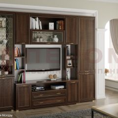 Гостиная Карина Композиция 2 (Акация Молдау) в Шадринске - shadrinsk.mebel24.online | фото