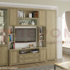 Гостиная Карина Композиция 2 (Гикори Джексон светлый) в Шадринске - shadrinsk.mebel24.online | фото