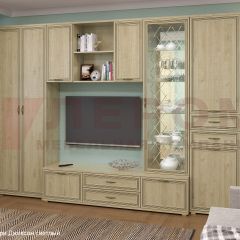 Гостиная Карина Композиция 21 (Гикори Джексон светлый) в Шадринске - shadrinsk.mebel24.online | фото 6