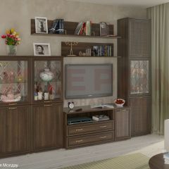 Гостиная Карина Композиция 22 (Акация Молдау) в Шадринске - shadrinsk.mebel24.online | фото