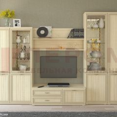 Гостиная Карина Композиция 24 (Ясень Асахи) в Шадринске - shadrinsk.mebel24.online | фото