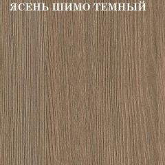 Кровать 2-х ярусная с диваном Карамель 75 (АРТ) Ясень шимо светлый/темный в Шадринске - shadrinsk.mebel24.online | фото 5