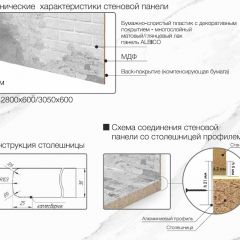 Кухонный фартук со столешницей (А-01) в едином стиле (3050 мм) в Шадринске - shadrinsk.mebel24.online | фото 7