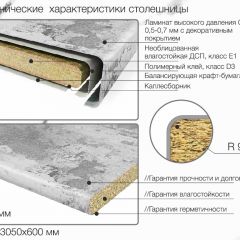 Кухонный фартук со столешницей (А-08) в едином стиле (3050 мм) в Шадринске - shadrinsk.mebel24.online | фото 6