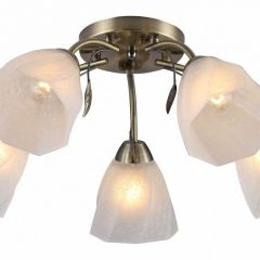 Потолочная люстра Rivoli Olivia Б0052693 в Шадринске - shadrinsk.mebel24.online | фото