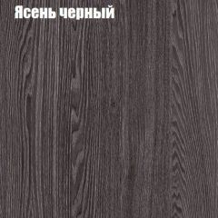 Прихожая ДИАНА-4 сек №14 (Ясень анкор/Дуб эльза) в Шадринске - shadrinsk.mebel24.online | фото 3