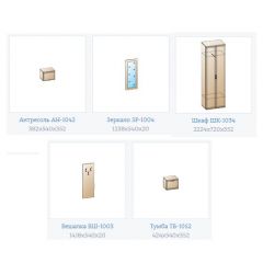 Прихожая Карина композиция 7 (Снежный ясень) в Шадринске - shadrinsk.mebel24.online | фото 3