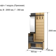 ОЛЬГА-ЛОФТ 1 Прихожая в Шадринске - shadrinsk.mebel24.online | фото 4