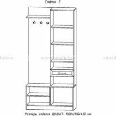 Прихожая София 1 в Шадринске - shadrinsk.mebel24.online | фото 3