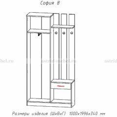 Прихожая София 8 в Шадринске - shadrinsk.mebel24.online | фото 2