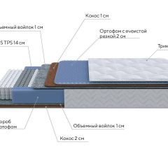 PROxSON Матрас Active Duo M/F (Ткань Трикотаж Эко) 120x200 в Шадринске - shadrinsk.mebel24.online | фото 6