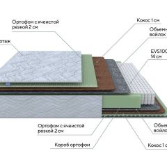 PROxSON Матрас Green M (Tricotage Dream) 120x190 в Шадринске - shadrinsk.mebel24.online | фото 7