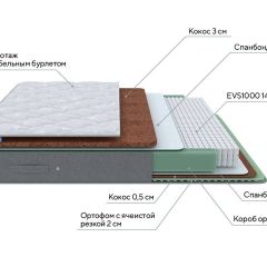 PROxSON Матрас Lux Duo M/F (Non-Stress) 120x190 в Шадринске - shadrinsk.mebel24.online | фото 8