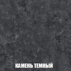 Шкаф 2-х створчатый МСП-1 (Дуб Золотой/Камень темный) в Шадринске - shadrinsk.mebel24.online | фото 5