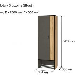 ОЛЬГА-ЛОФТ 3 Шкаф 2-х створчатый в Шадринске - shadrinsk.mebel24.online | фото 4