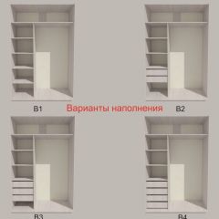 Шкаф-купе 1300 серии SILVER S4+S3Z+B2+PL1 (2 ящика+1 штанга) профиль «Серебро» в Шадринске - shadrinsk.mebel24.online | фото 5