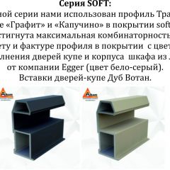 Шкаф-купе 1400 серии SOFT D8+D2+B2+PL4 (2 ящика+F обр.штанга) профиль «Капучино» в Шадринске - shadrinsk.mebel24.online | фото 10