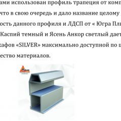 Шкаф-купе 1500 серии SILVER S1+S1+B2+PL2 (2 ящика+1 штанга+1 полка) профиль «Серебро» в Шадринске - shadrinsk.mebel24.online | фото 4