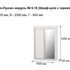 Шкаф-купе 1600 с зеркалом "Мария-Луиза 6.16" в Шадринске - shadrinsk.mebel24.online | фото 4