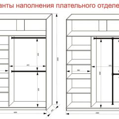 Шкаф-купе 1600 серии SOFT D6+D4+B2+PL2 (2 ящика+1штанга+1 полка) профиль «Капучино» в Шадринске - shadrinsk.mebel24.online | фото 9