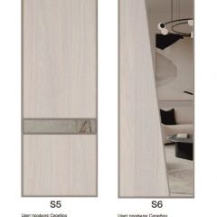 Шкаф-купе 1950 серии SILVER S4+S1+S4 B22+PL4 (по 2 ящика лев/прав+F обр.штанга) профиль «Серебро» в Шадринске - shadrinsk.mebel24.online | фото 14