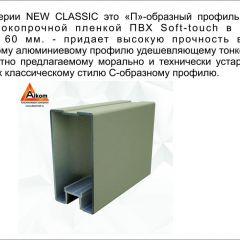 Шкаф-купе 2150 серии NEW CLASSIC K1+K1+K1+B22+PL4 (по 2 ящика лев/прав+F обр.штанга) профиль «Капучино» в Шадринске - shadrinsk.mebel24.online | фото 17