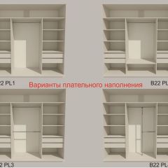 Шкаф-купе 2400 серии SOFT D5+D5+D5+B22+PL4 (по 2 ящика лев/прав+2штанги) профиль «Графит» в Шадринске - shadrinsk.mebel24.online | фото 4