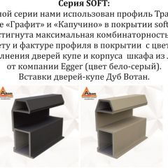 Шкаф-купе 2400 серии SOFT D5+D5+D5+B22+PL4 (по 2 ящика лев/прав+2штанги) профиль «Графит» в Шадринске - shadrinsk.mebel24.online | фото 11