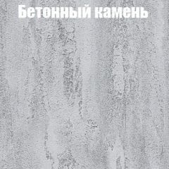 Шкаф-купе Бассо 1.0 (Дуб Крафт серый/Бетонный камень) 2 двери ЛДСП в Шадринске - shadrinsk.mebel24.online | фото 3