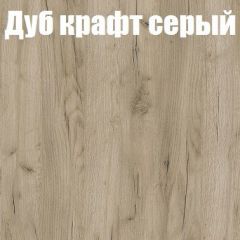 Шкаф-купе Бассо 1.0 (Дуб Крафт серый/Бетонный камень) 2 двери ЛДСП в Шадринске - shadrinsk.mebel24.online | фото 4