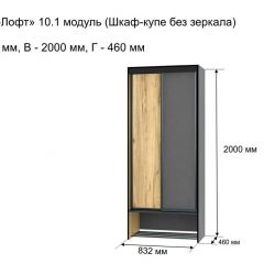 ОЛЬГА-ЛОФТ 10.1 Шкаф-купе без зеркала в Шадринске - shadrinsk.mebel24.online | фото 3